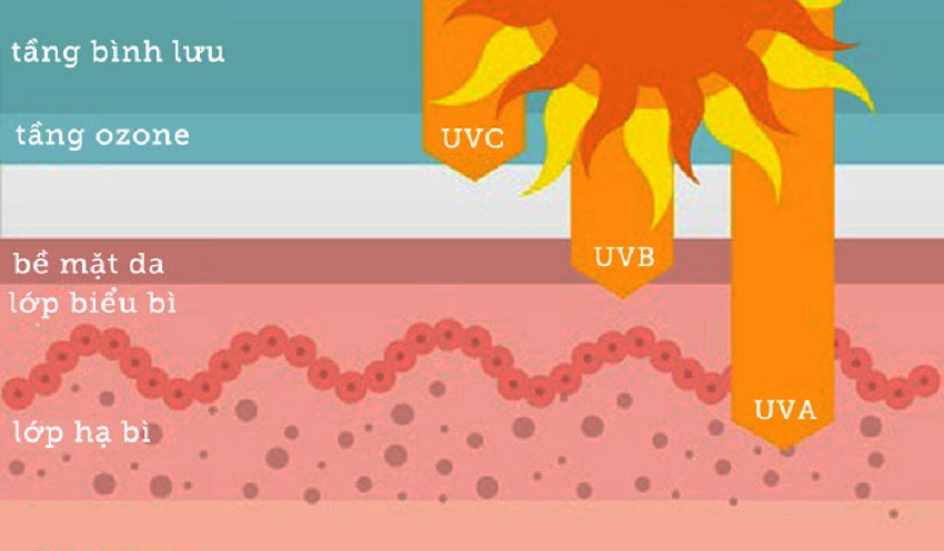Các loại tia UV trong ánh sáng mặt trời